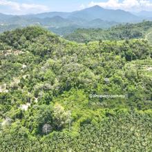 Sungai Siput Perak 8.5 acres Rubber Tree Freehold Agricultural Land