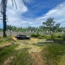 Kluang agriculture land palm oil tree for sale