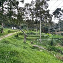 Durian Farm Agriculture Land Sale Sungai Ara Road Access Build house