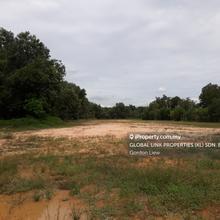 Main Road Frontage 3 Acres Agricultural Land Mantin Pajam FOR RENT, Mantin