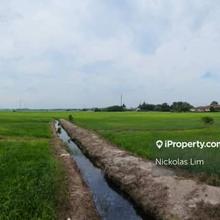 First grade land, Jalan Bahru, flat land, Balik Pulau, Penang