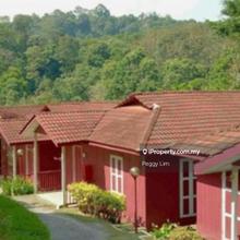 Serene Resort & Training Centre@Janda Baik for Rent/Sale