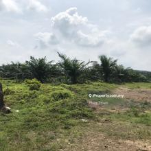 3.803 Acre Agriculture Land