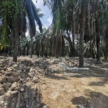 Industrial land for Sale