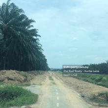 Agriculture land for Sale