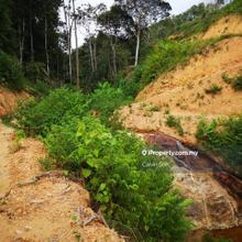 Agriculture land for Sale