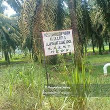Oil Palm Land for Sale @ Kluang / Ayer Hitam, Johor 