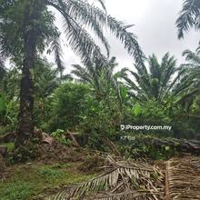 For Sell Port Dickson Land Zoning Industrial