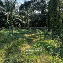 Freehold Agriculture Land Beside Road Lendu Alor Gajah Melaka