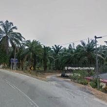 455 acres Kuala Pilah Oil Palm Estate