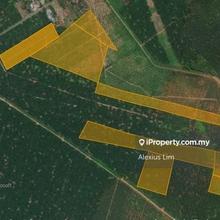 For Sale - Agriculture Land @ Api-Api, Ayer Baloi, Pontian