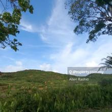 Spacious 20 Acres Agricultural Land Taula Hill, Kluang, Johor