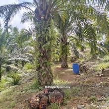9 Acres Agriculture land for Sale