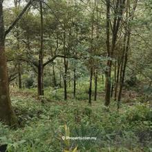 Agriculture land for Sale