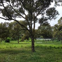 Mantin Agriculture Land for sales