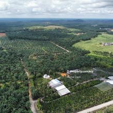 Melaka 100 Acre
