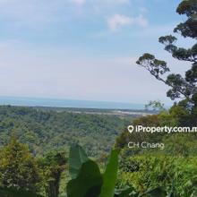 Durian Plantation, Bukit Genting, Penang