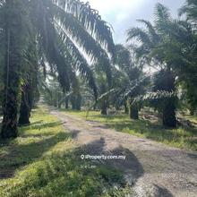 Telok Mengkuang Telok Panglima Garang land for sale,Klang,Kuala Langat