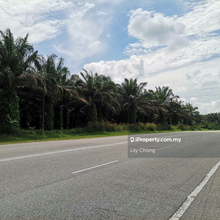 For Sale  Industrial Land (Main road )