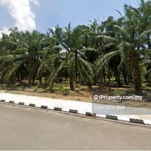 Land fronting main road, Flat Land, near residential & commercial area
