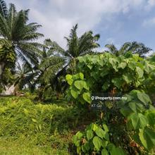 For Sell Agriculture Land Banting