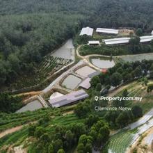 Agricultual Land In Rembau Negeri Sembilan for Sale