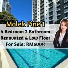 Molek Pine 1 @ Taman Molek, Renovated, 4 Bedroom 2 Bathroom, Low Floor