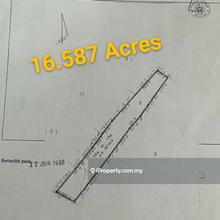 32.368 Acres Dungun Agriculture Land For Sale