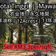 Kota Tinggi, Mawai, 12 Arces, Asking Price Rm3.3 per / sqft