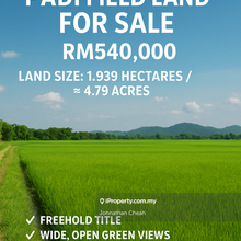 Freehold Simpang Empat Semanggol Padi Field Land For Sale