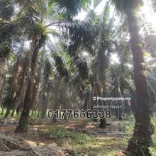 Freehold Land Got Access Road Merlimau Sungai Rambai Polytechnic Amj