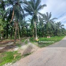 5 Acres Zoned Industry Land