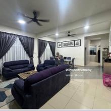 Pulai Hijauan Kangkar Pulai