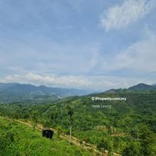 4.9 acres Bentong Old Road Rubber Land for Sale