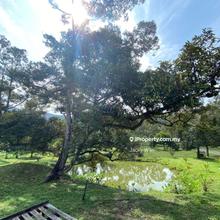 Agriculture land for Sale