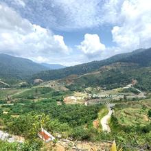 Agriculture land for Sale