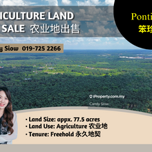 Pontian Serkat 77acres Agriculture Land