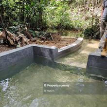Tanah Batang kali Hulu Tamu