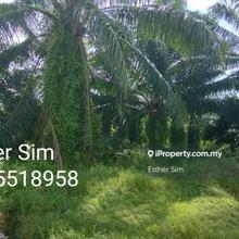 Palm Oil Land near Padang Serai For Sale