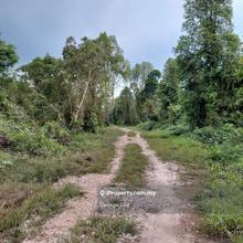 Penor, Pekan - Agriculture Land