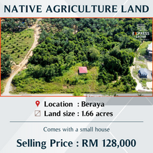 Native Agriculture Land at Beraya