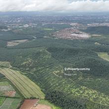Sri Jaya, Maran, Pahang Oil Palm Land, Land For Sale