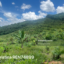Bukit Senggeh ,Jasin agricultural land for sale 