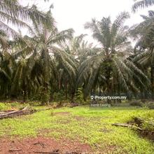 9.4 acre Mentakab Zooming Industrial Land For Sale