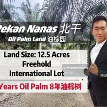 Pekan Nanas Oil Palm