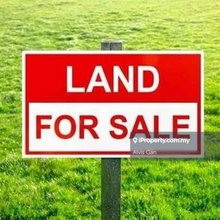 Mature Industrial Park