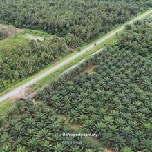 1st Lot Mixed Zone Land @ Asajaya Jemukan Ulu, Asajaya, Samarahan.