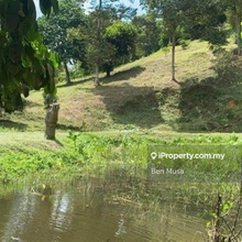Tanah Dusun For Sale