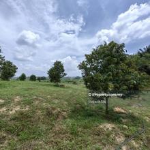 1 Acre Freehold Durian Farm Good View Bestari Jaya Kuala Selangor
