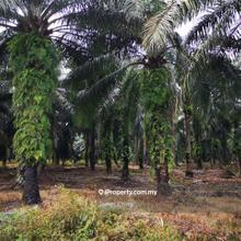 Industrial land for Sale ijok
